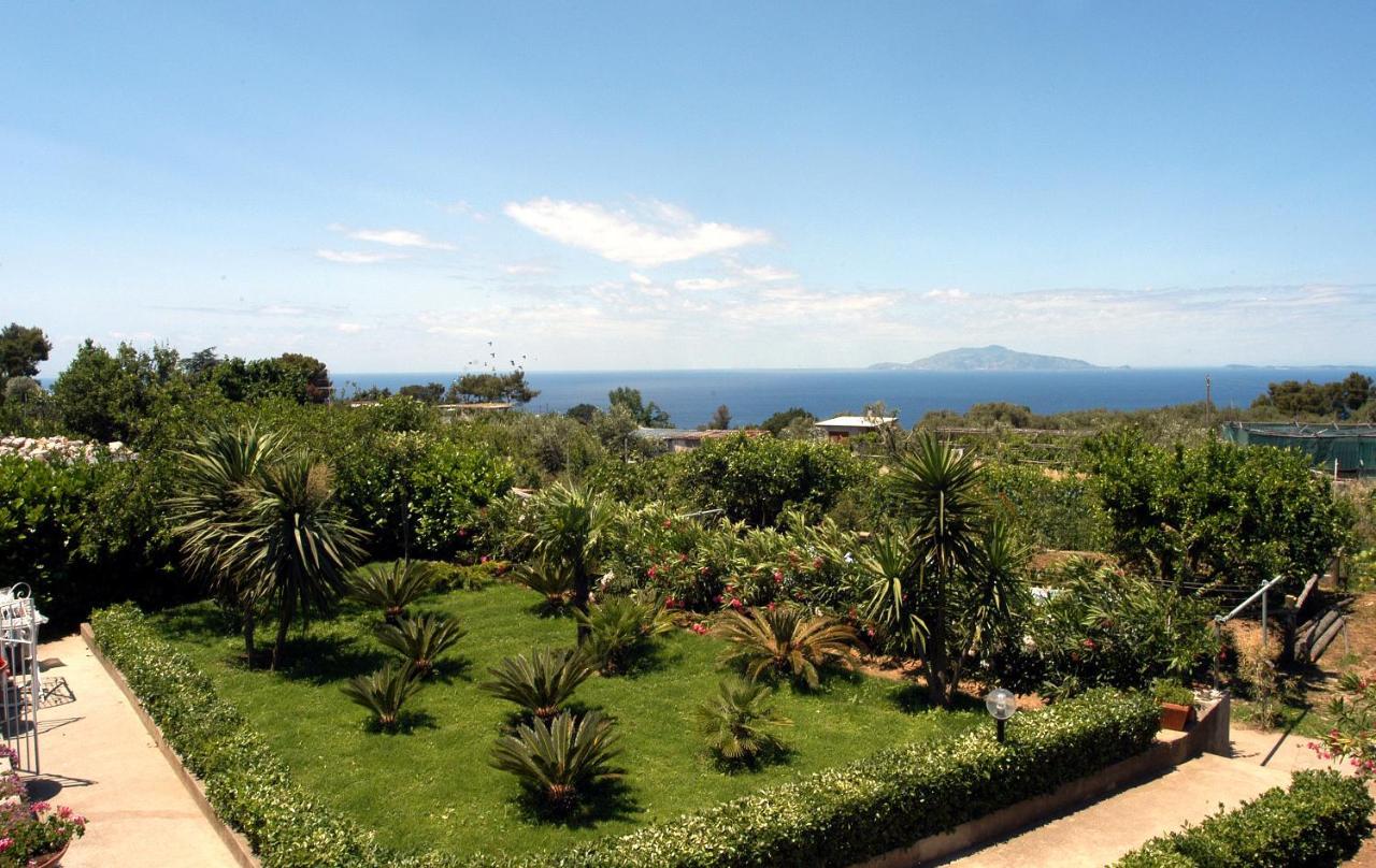 Villa Damecuta B&B 阿纳卡普里 外观 照片