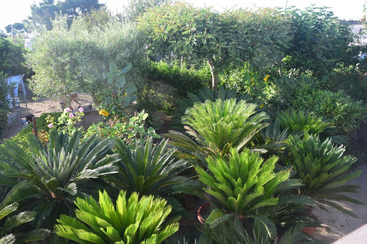 Villa Damecuta B&B 阿纳卡普里 外观 照片